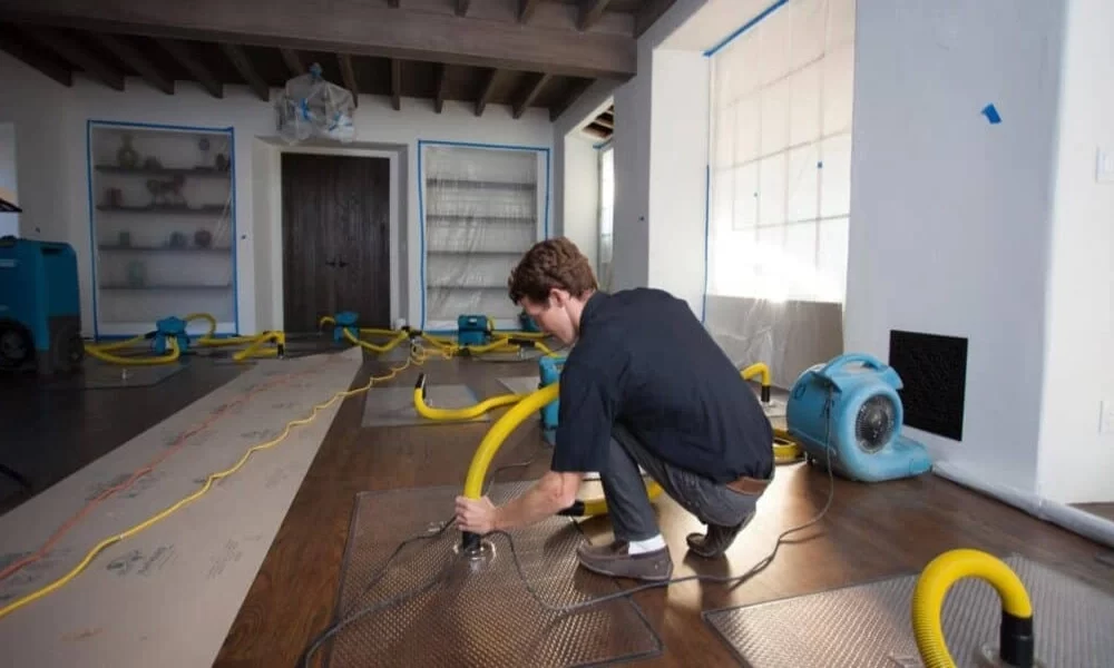 Expert Service Guide: The Essential Steps to Water Damage Restoration