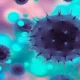MRNA