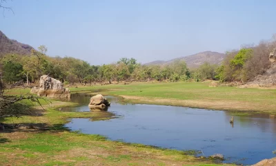 Nature & Wildlife: Southern Asia Highlights