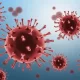 WHO Reveals FLiRT Variants as Predominant SARS-CoV-2 Strains in 2024