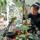 indoor plants
