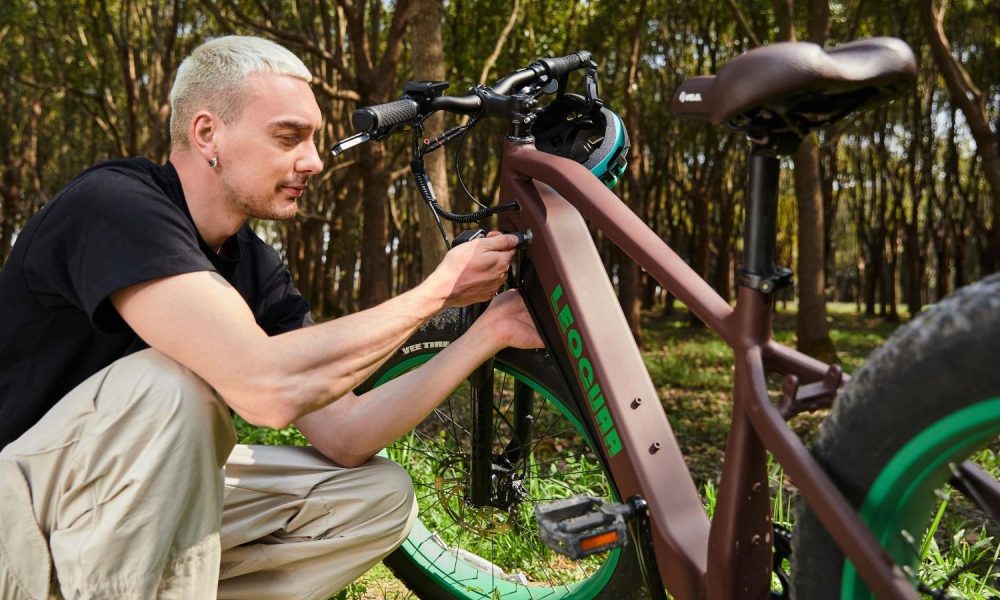 Electric Bike