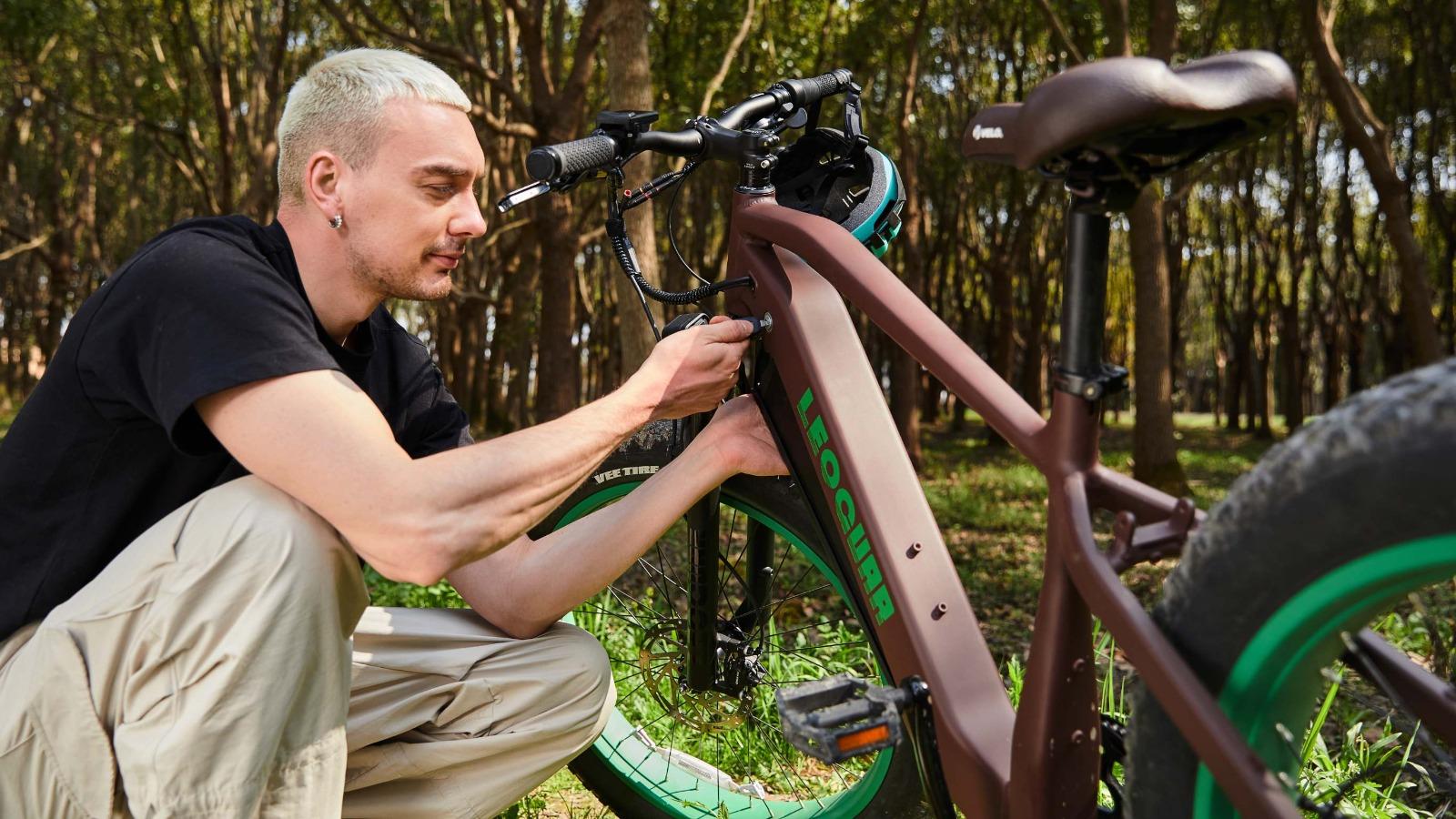 Electric Bike
