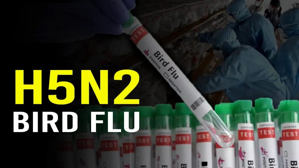 H5N2