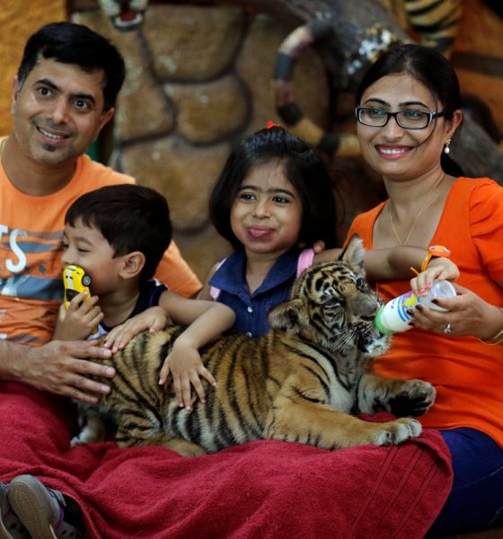 Thailand Sees Surge in Indian Tourist Arrivals with Visa-Free Policy Launch